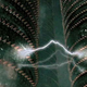 Illustration for article titled Scientists Implant Biofuel Cells Into Rats, I Call Next